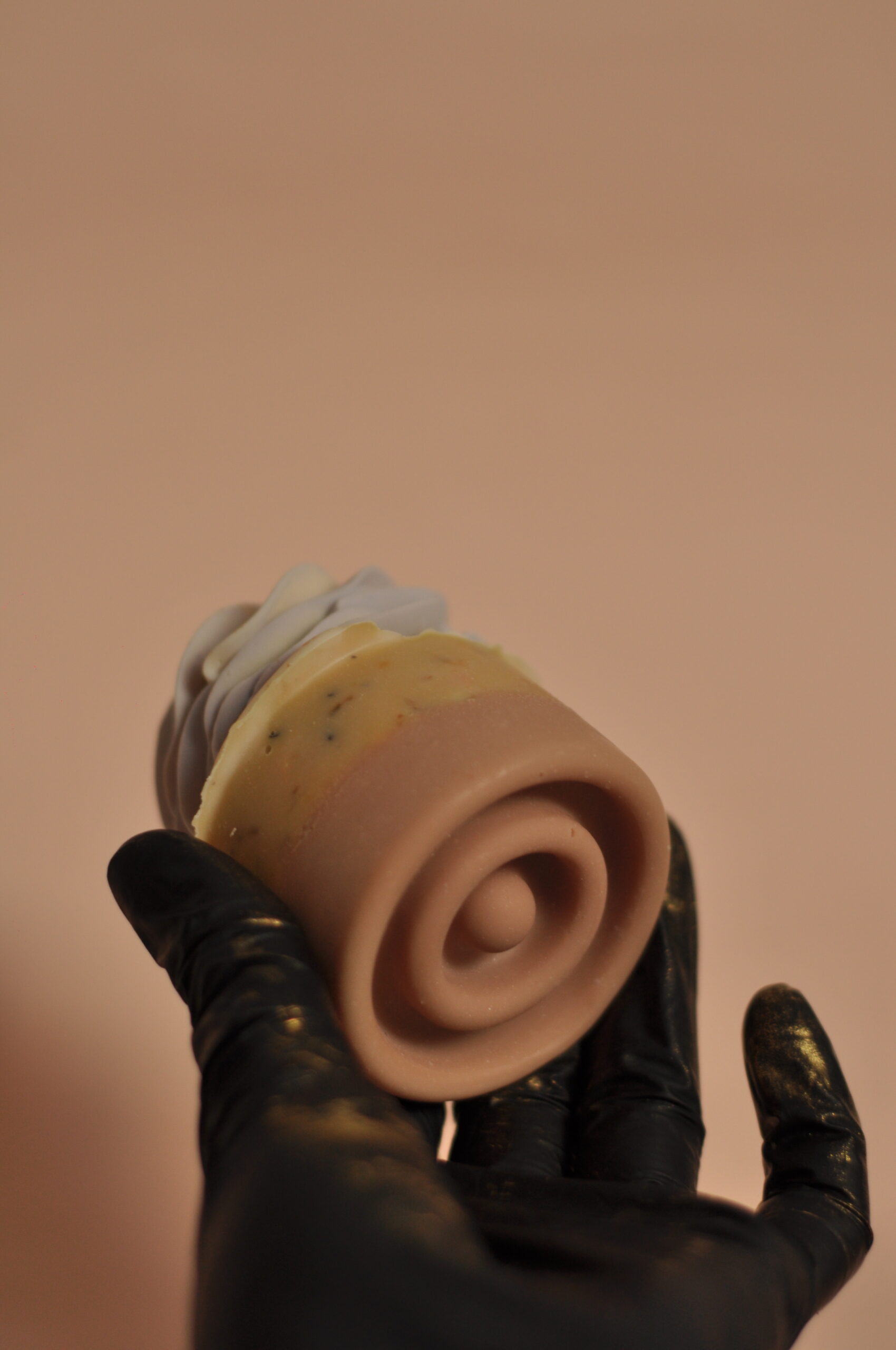 DSC_1733 (1)